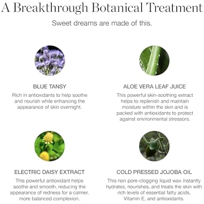 OGEE INDIGO DREAM RENEWAL CREAM FACE MOISTURIZER - HYDRATING FACE CREAM WITH HYALURONIC ACID & CERAMIDES - ORGANIC INGREDIENTS, CRUELTY-FREE & MADE IN USA - Image 2